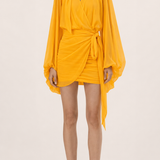 Solstice Sunset Chiffon Mini Dress